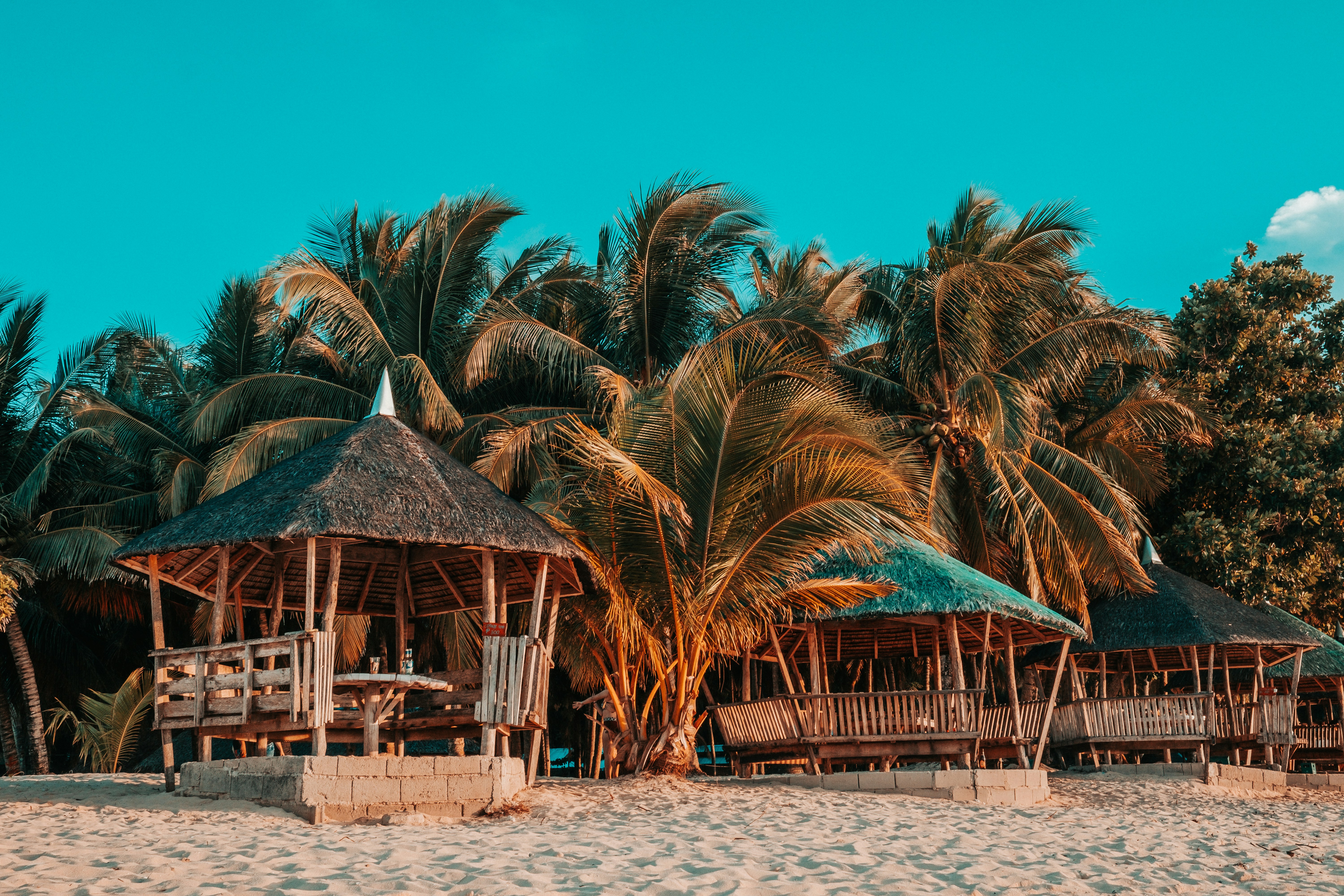 Nipa Hut Image