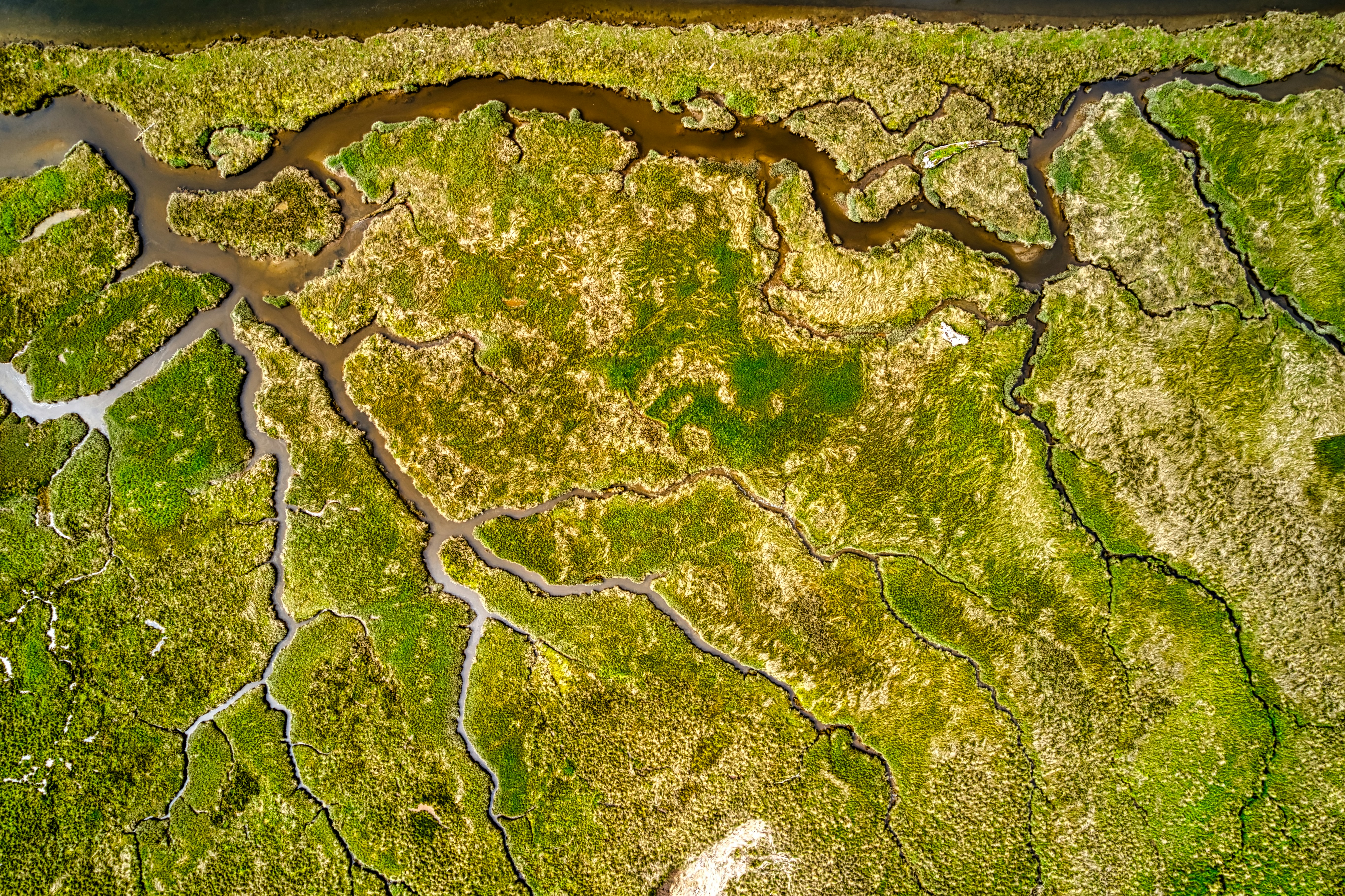 Topographic Survey Image